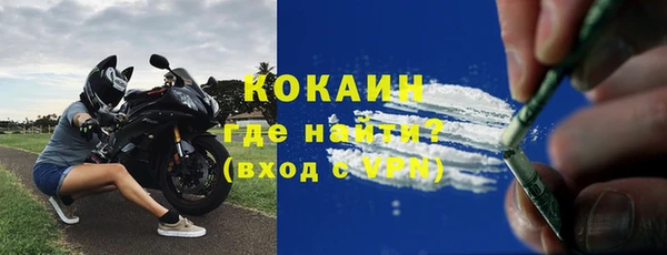 соль ск Абаза