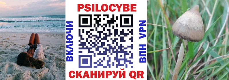 закладка  Тарко-Сале  Псилоцибиновые грибы Magic Shrooms 